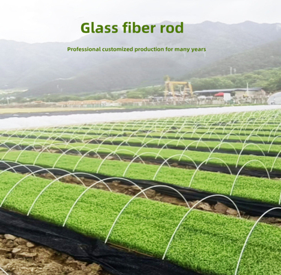 Batang Fiberglass Berkualitas Tinggi Untuk Dukungan Terowongan Rumah Kaca Pertanian